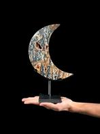 GEEN RESERVERINGSPRIJS - Prachtige Zebra-kristalkwarts