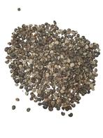 Umbonium Schelpen Zilver 200 gram, Hobby en Vrije tijd, Knutselen, Ophalen of Verzenden, Nieuw