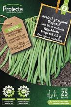 Protecta Groente zaden: Staakboon Vesperal 25 g, Tuin en Terras, Bloembollen en Zaden, Ophalen of Verzenden