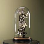 Vlinders in Stolp Taxidermie Opgezette Dieren By Max, Verzamelen, Dierenverzamelingen, Ophalen of Verzenden, Nieuw, Insect, Opgezet dier