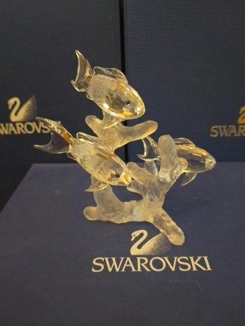 Swarovski - Beeldje - School of fish - 666355 - Kristal, Antiek en Kunst, Curiosa en Brocante