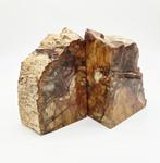 Versteend hout Boekensteun (zie filmpje), Ophalen of Verzenden