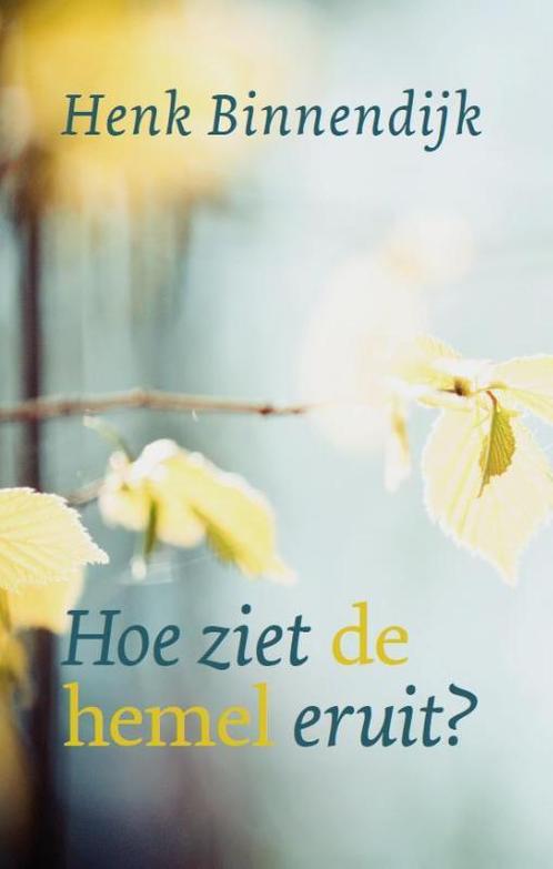 Hoe ziet de hemel eruit? 9789043532112 Henk Binnendijk, Boeken, Godsdienst en Theologie, Gelezen, Verzenden