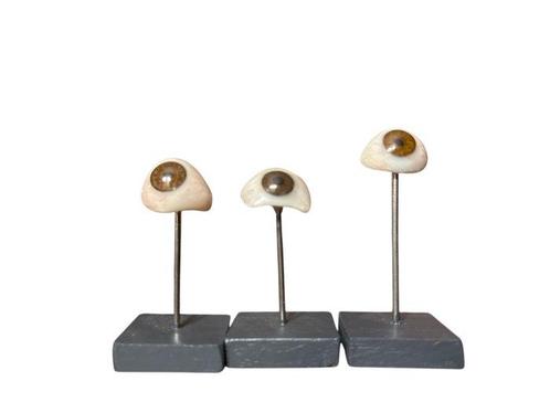 Anatomisch model (3) - Hars - 1950-1960 - Drie oogprotheses, Verzamelen, Dierenverzamelingen