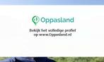 Lieke zoekt een oppas in Nijmegen voor 2 kinderen., Vacatures, Goede doelen en Vrijwilligerswerk
