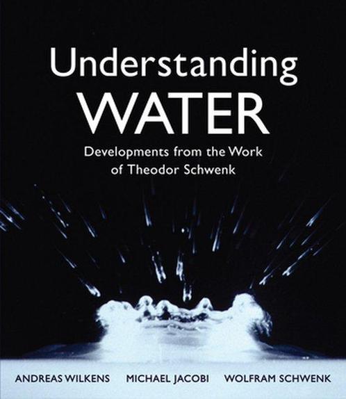 9781782505068 Understanding Water: Developments from the ..., Boeken, Studieboeken en Cursussen, Nieuw, Verzenden
