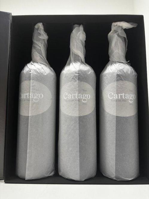 2013 Bodegas y Viñedos San Román, Cartago - Toro - 3 Flessen, Verzamelen, Wijnen