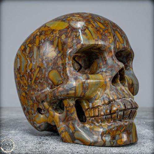 Natuurlijke bamboe-jaspis-schedel in realistische Kunstvorm-, Verzamelen, Mineralen en Fossielen