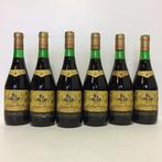 1966 Bodegas Campo Viejo - Rioja Reserva - 6 Flessen (0.75, Nieuw
