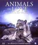 Animals in love - Blu-ray, Verzenden, Nieuw in verpakking