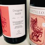 Cantillon - Sophia, Drogone, - 75cl - 6 flessen, Nieuw