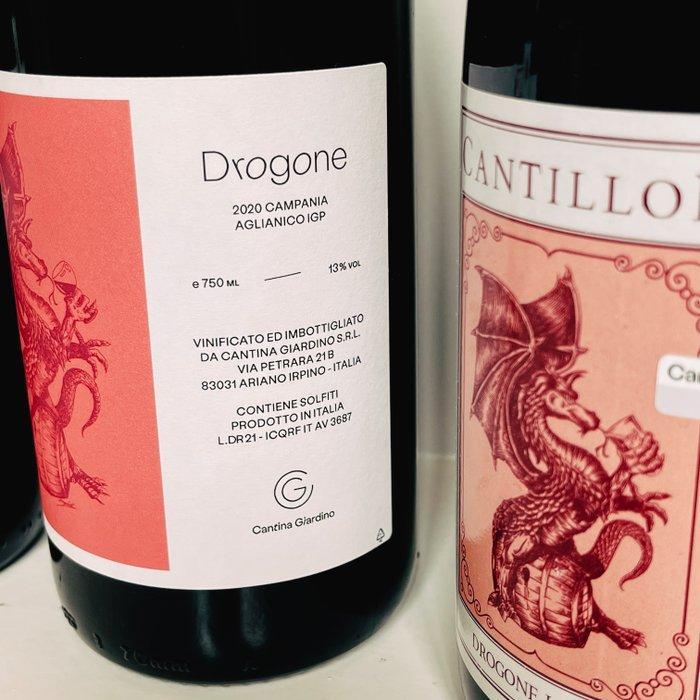 Cantillon - Sophia, Drogone, - 75cl - 6 flessen, Verzamelen, Wijnen
