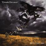 David Gilmour - Rattle That Lock, Cd's en Dvd's, Ophalen of Verzenden, Gebruikt