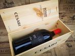 2013 Cesari Bosan - Amarone della Valpolicella Riserva - 1, Nieuw