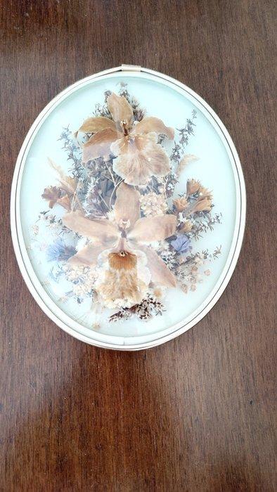 RARE, Véritable fleurs sous verre - Vitrinelijst (3) - Glas,, Antiek en Kunst, Curiosa en Brocante