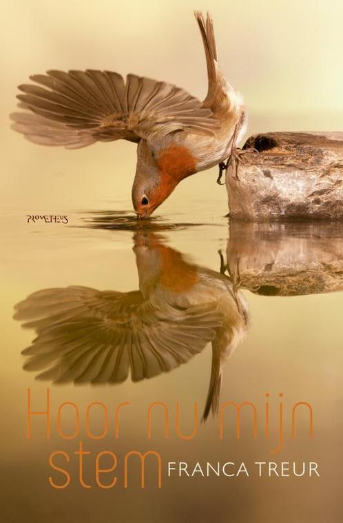 Hoor nu mijn stem 9789044629125 Franca Treur, Boeken, Romans, Gelezen, Verzenden
