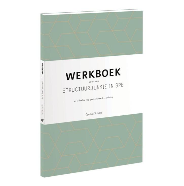 Werkboek voor een structuurjunkie in spe 9789463491037, Boeken, Hobby en Vrije tijd, Zo goed als nieuw, Verzenden