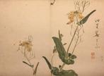 Afbeelding van een vlinder op een plant met gele bloemen -