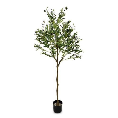 IvoQ Kunst Olijfboom 150 cm - Onderhoudsvrij - Duurzaam &amp; Ve, Huis en Inrichting, Woonaccessoires | Kunstplanten en Kunstbloemen
