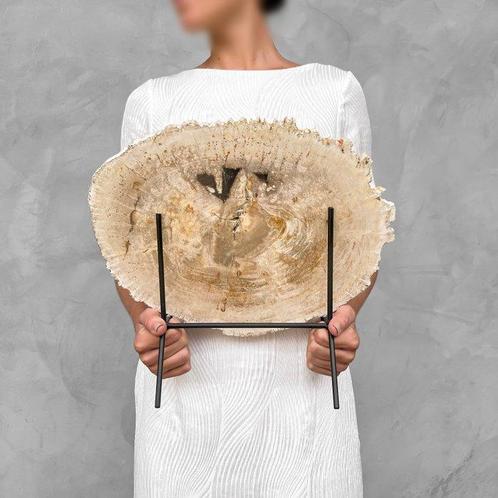 Prachtige plak versteend hout op standaard - Gefossiliseerd, Antiek en Kunst, Kunst | Designobjecten