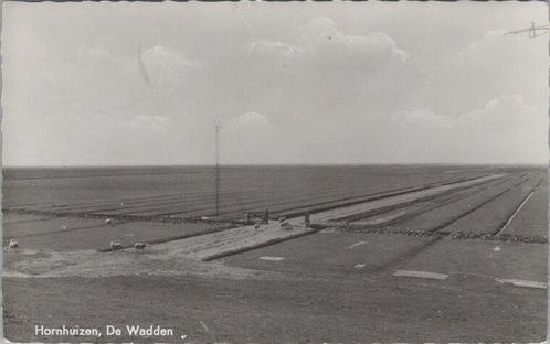 HORNHUIZEN - De Wadden, Verzamelen, Ansichtkaarten | Nederland, Verzenden
