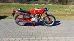 MV Agusta - 350 Sport Elettronica - 350 cc - 1974, Motoren