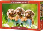 Cute Dachshunds Puzzel (500 stukjes) | Castorland - Puzzels, Hobby en Vrije tijd, Denksport en Puzzels, Nieuw, Verzenden