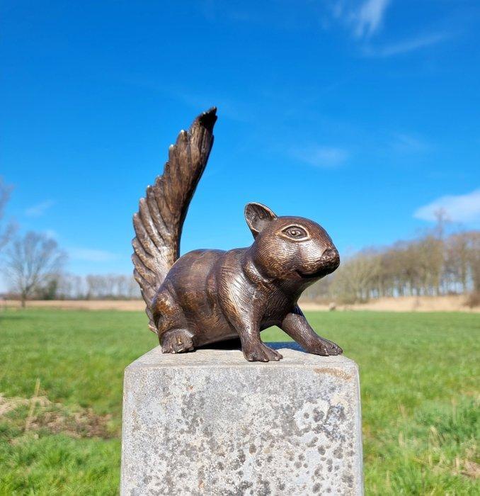 Beeldje - A lifelike bronze squirrel - Brons, Antiek en Kunst, Curiosa en Brocante