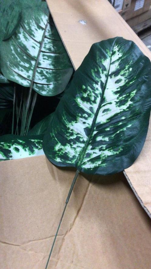 Dieffenbachiablad zijde donkergroen of gestreept -, Huis en Inrichting, Woonaccessoires | Kunstplanten en Kunstbloemen, Nieuw