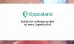 Ik ben Siska, 60 jaar oud en ik zoek oppaswerk in Nieuw-D...