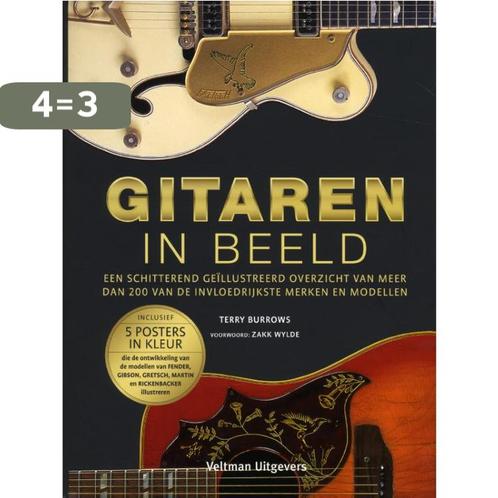 Gitaren in beeld 9789048305902 Terry Burrows, Boeken, Hobby en Vrije tijd, Zo goed als nieuw, Verzenden