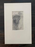 Jacobus van Looy (1885-1930) - Ramskop