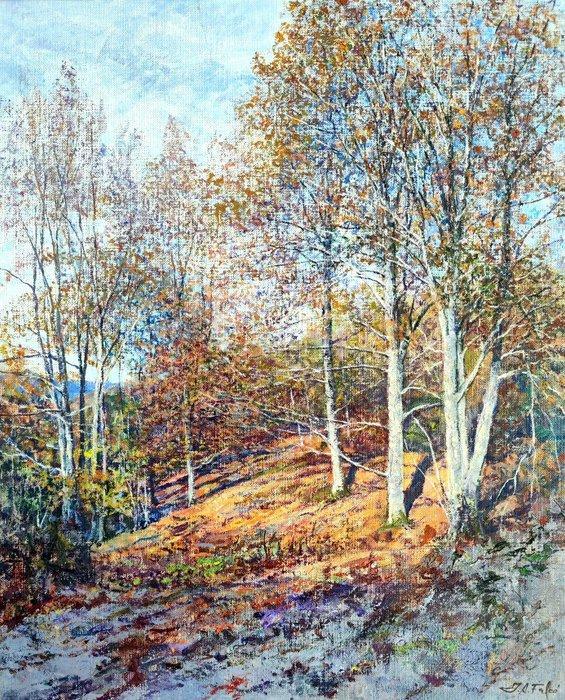 Juan Antonio Falcó Pintado (1947) - El bosque impresionista, Antiek en Kunst, Kunst | Schilderijen | Klassiek