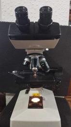 Binocular microscope - SE - 1980-1990 - Japan - Nikon