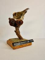 Goldcrest (Mannelijk) Taxidermie volledige montage - Regulus, Nieuw