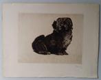 Paul Casberg (1883-1945) - Bichon / Handsigned etching, 1925, Antiek en Kunst