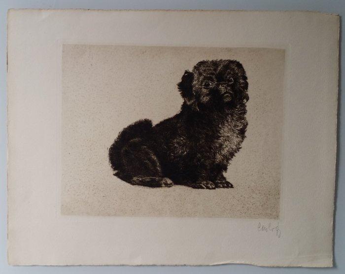 Paul Casberg (1883-1945) - Bichon / Handsigned etching, 1925, Antiek en Kunst, Antiek | Overige Antiek
