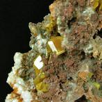 CW1788 Colorata Wulfenite su Dolomite Kristallen op matrix -