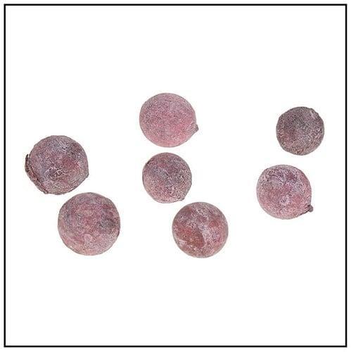 Pal Fruit Terra cotta 200 gram, Hobby en Vrije tijd, Knutselen, Nieuw, Ophalen of Verzenden