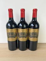2022 Alter Ego de Palmer, 2nd wine of Chateau Palmer -, Nieuw