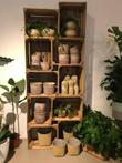 Fruitkisten , Veilingkisten , Houten kisten , Houten kratten