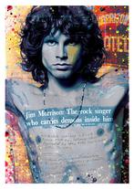 Posters - Poster Morrison, Jim - The Rock Singer, Verzamelen, Zo goed als nieuw, Verzenden