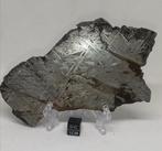 Meteoriet Aletai. IJzer meteoriet - 334 g