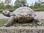 Beeld, sculpture large turtle 72 cm length in bronze color -, Antiek en Kunst