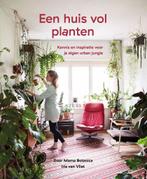 9789082968750 Een huis vol planten - Kennis en inspiratie..., Boeken, Studieboeken en Cursussen, Nieuw, Iris van Vliet, Verzenden