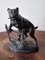 Charles Valton (1851-1918) - sculptuur, Mastiff jumping on a, Antiek en Kunst