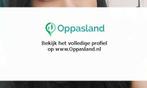 Ik ben Assia, 36 jaar oud en ik zoek oppaswerk in Rotterdam.
