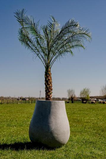 Ash L 71x80 cm Grey beschikbaar voor biedingen