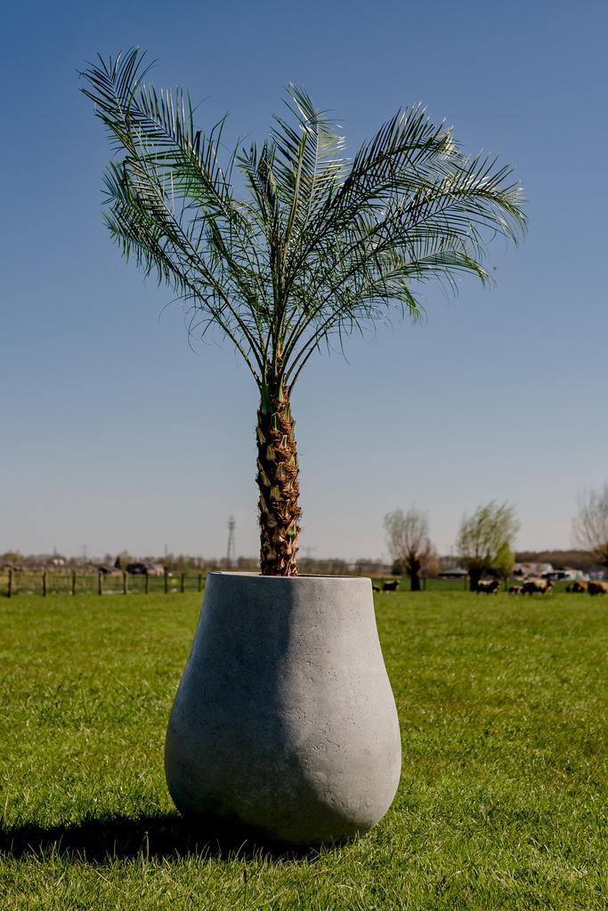 Ash L 71x80 cm Grey, Tuin en Terras, Bloembakken en Plantenbakken, Nieuw, Beton, Rond, Verzenden