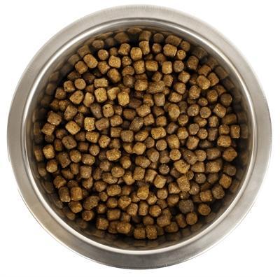 Yourdog Dwerg- Of Toypoedel Pup - 12 KG (405994), Dieren en Toebehoren, Dierenvoeding, Verzenden